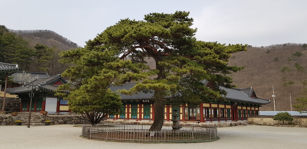 추줄산 위봉사