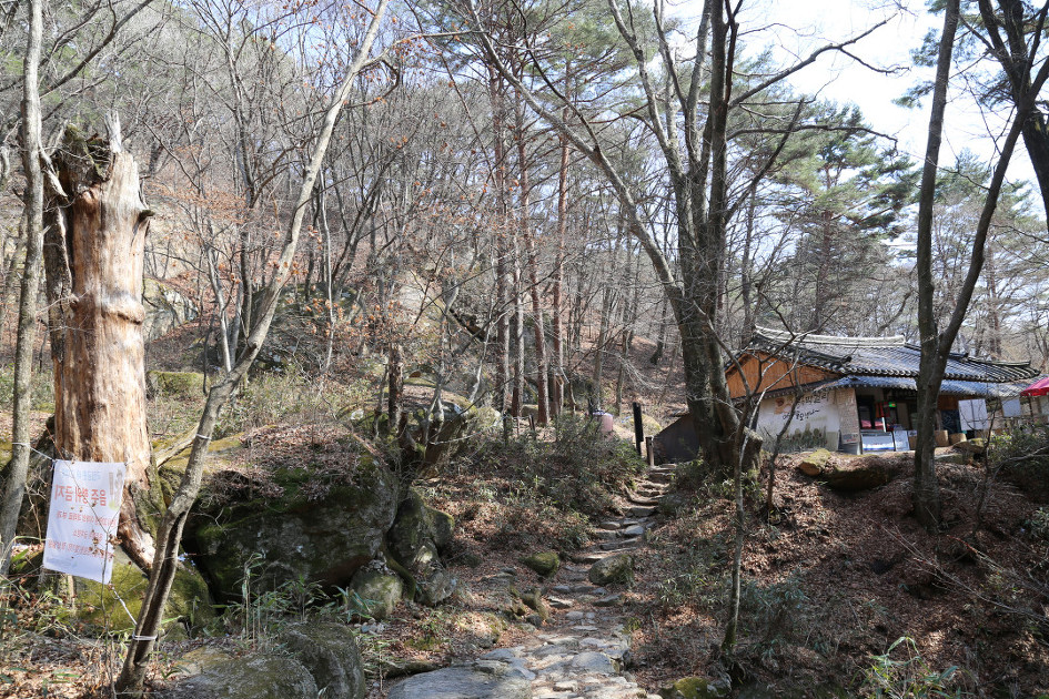 속리산(도화리/천왕봉/석문/비로봉/신선대/문수봉/문장대/세심정/법주사)