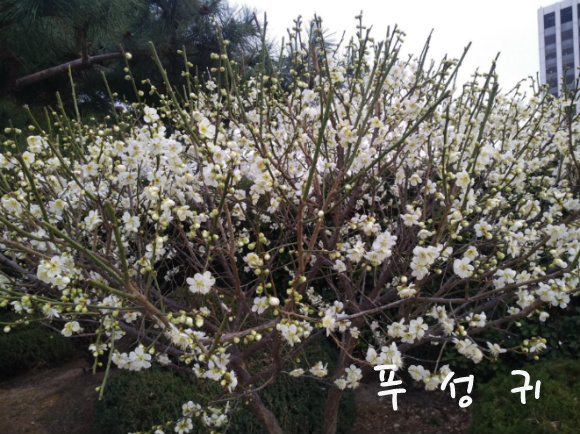 사부작 사부작