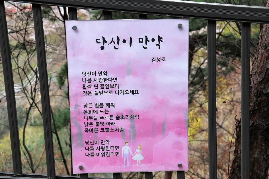 당신이 만약      (김성조) 