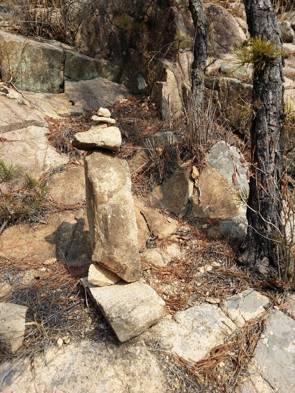 홍성 용봉산