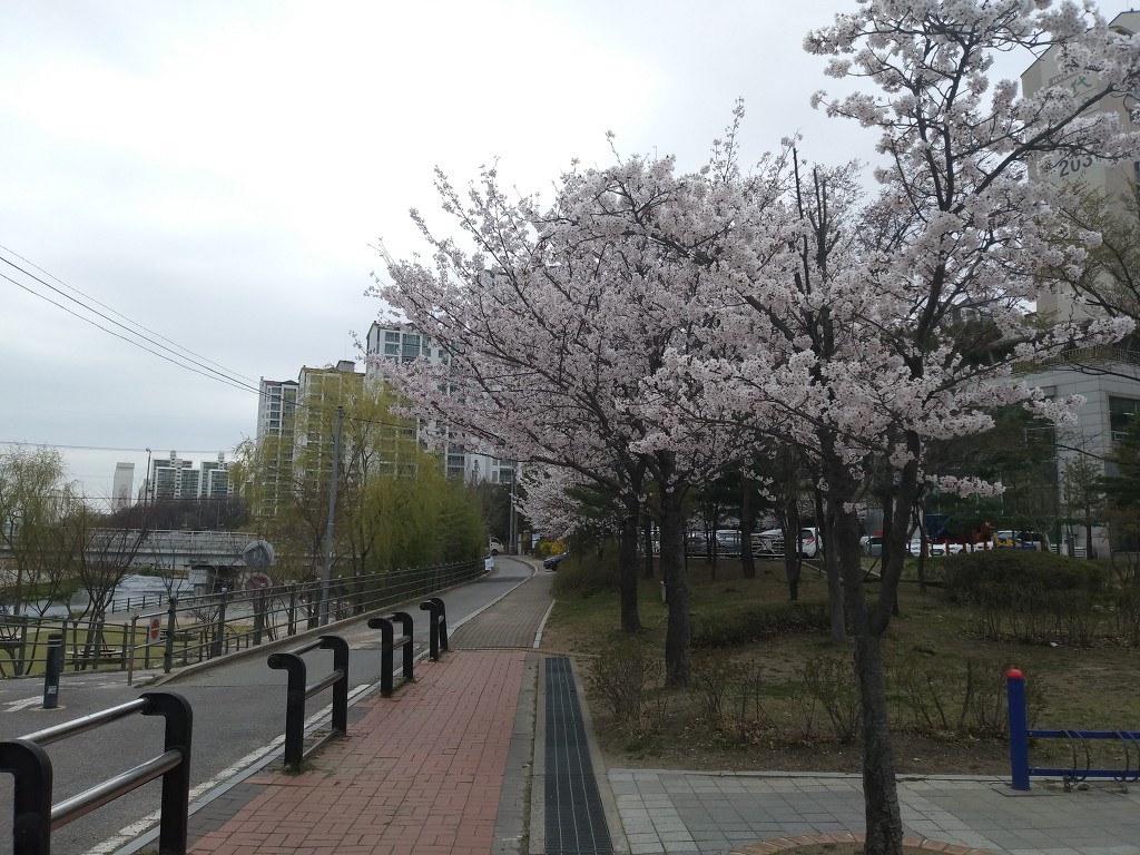 19.4.9(화)
