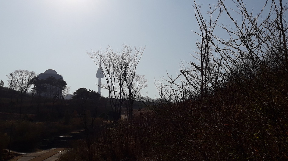따스한 봄날(4월2일)