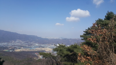 巧 言 亂 德