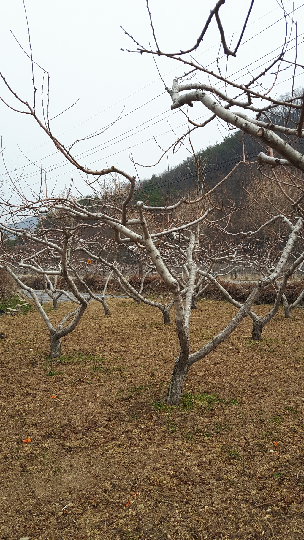 백수들의. 벙개모임