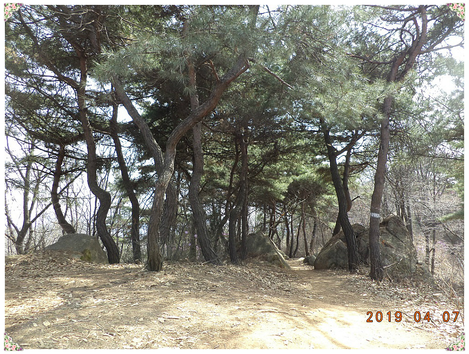 광명시 구름산(해발 240m)~가학산(해발 220m)