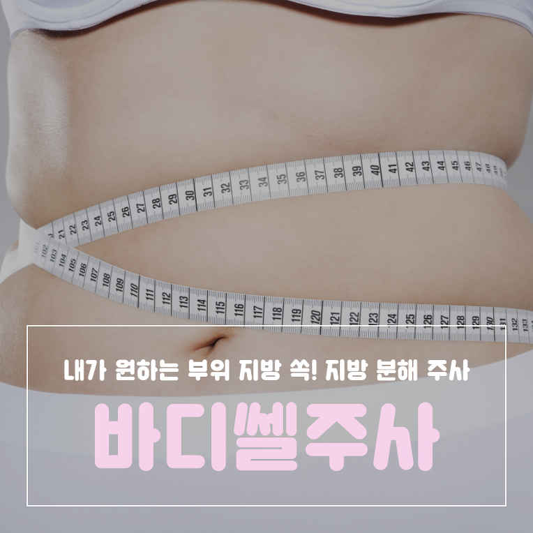 충주 비만클리닉 바디쎌 주사로 지방 안녕!