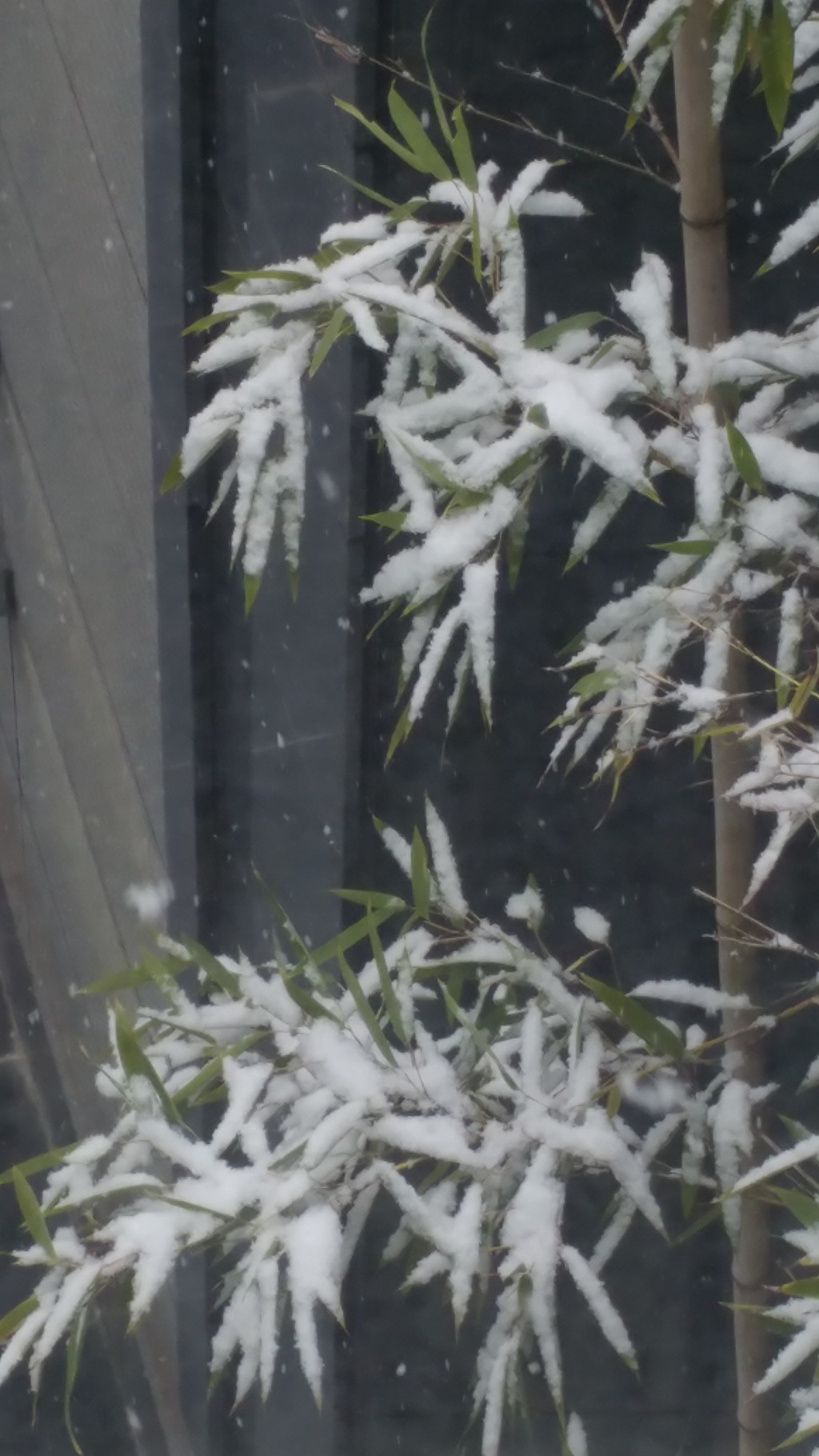 눈온후에 에코랜드