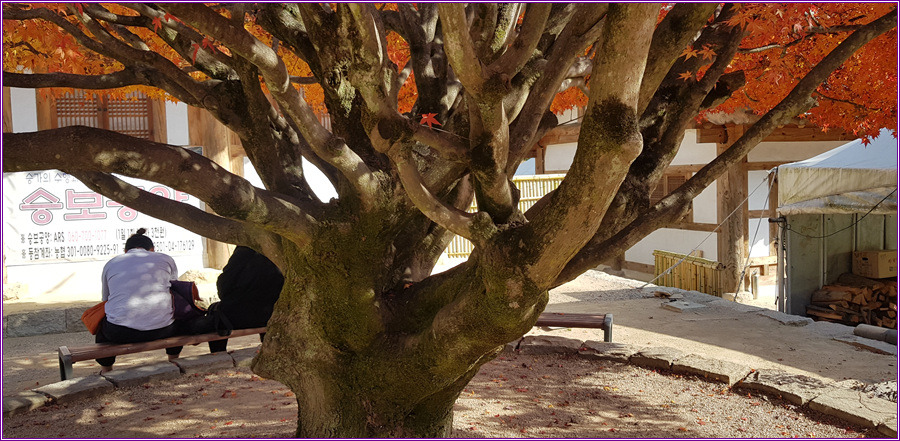 가버린 가을,장안사의 풍경