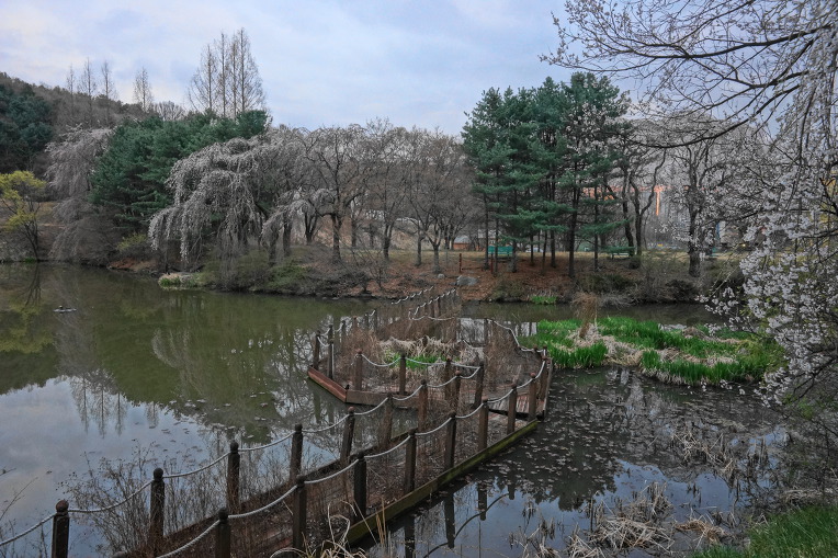 비룡지. 구(舊)경찰대학교. 용인시(龍仁市)