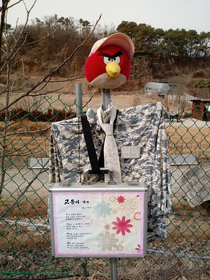 평화 이미지