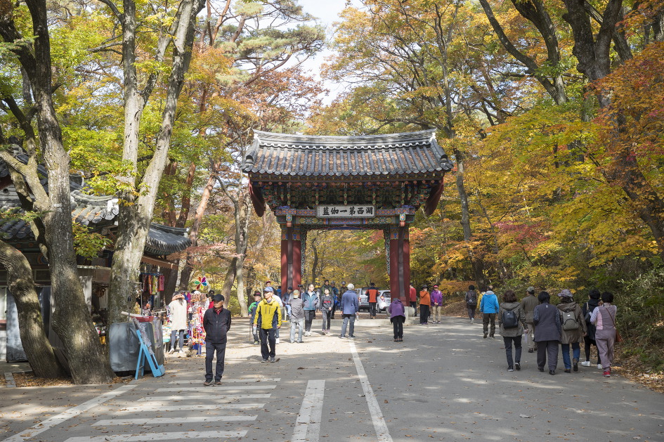 왕을 따라 걷는 길 / 충북 속리산 법주사 세조길