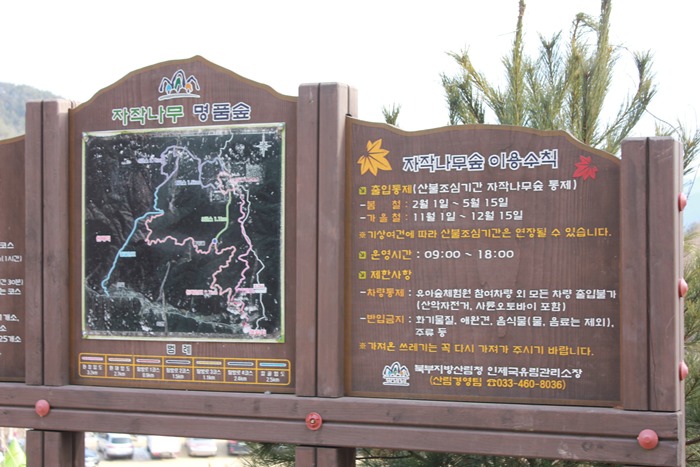 원본이미지(클릭)