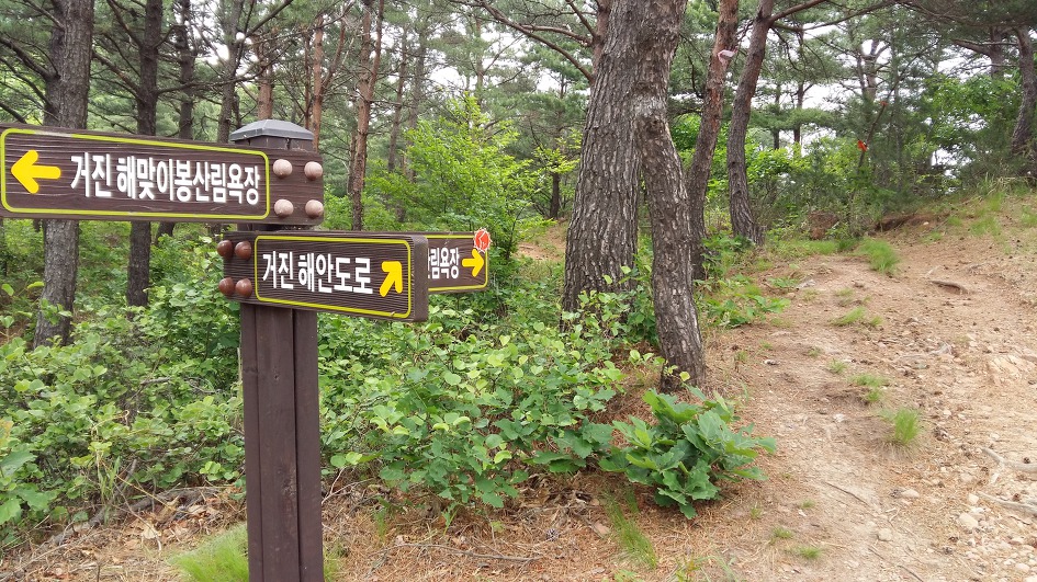 동해안 해파랑길의 일부를 걸었습니다.