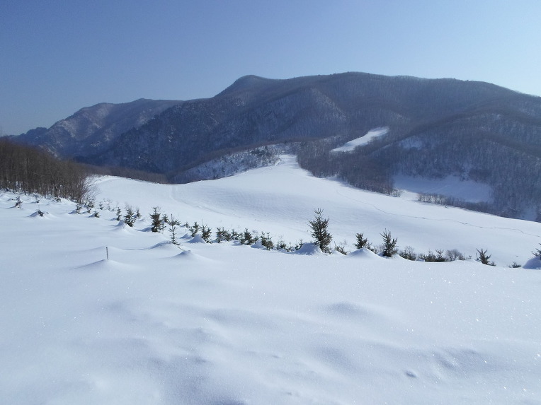 산새의 겨울 나기