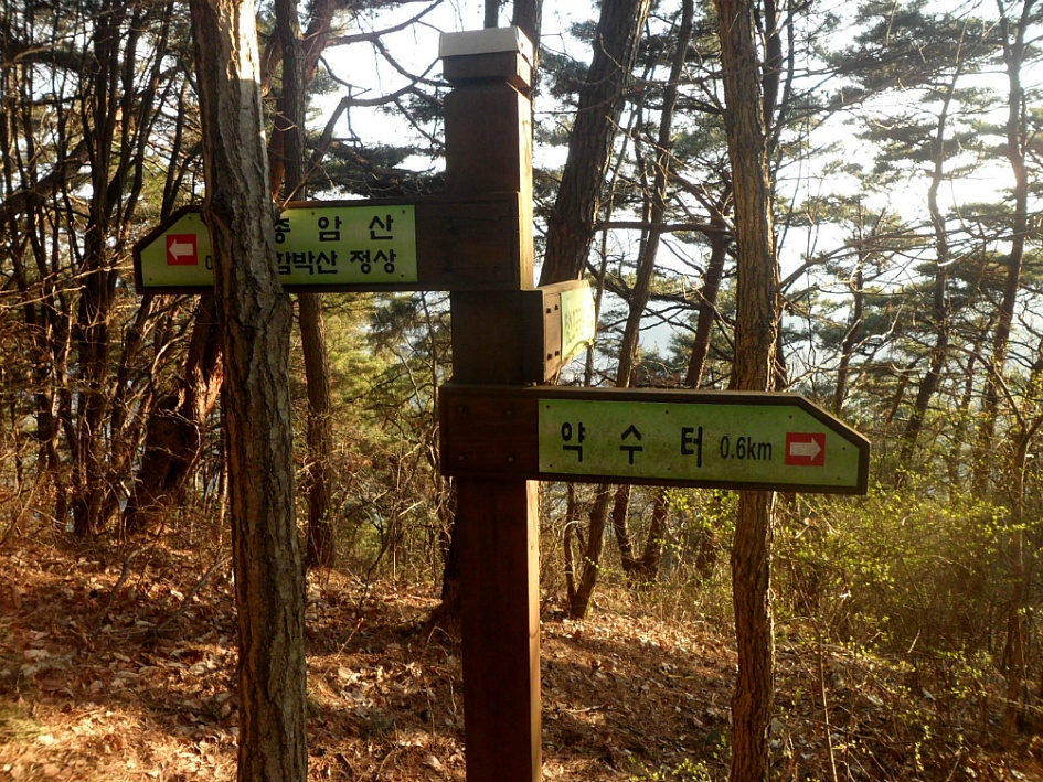 창녕 영취산 2019-03-31
