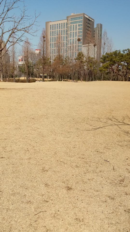 봄 오는 소리