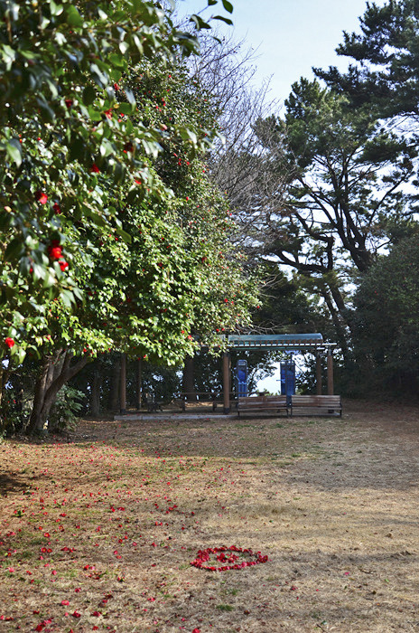 원본이미지(클릭)