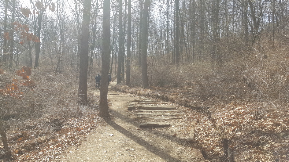 [청계산-옥녀봉 산행일지/2019.04.07]