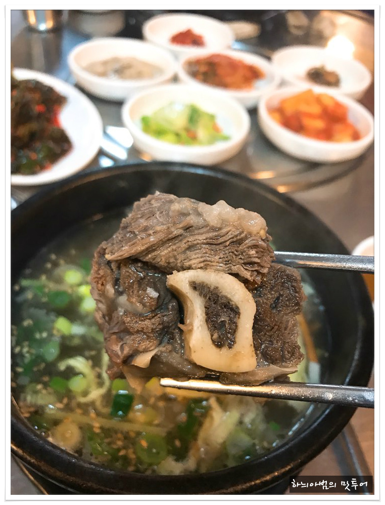 우리한우 이미지