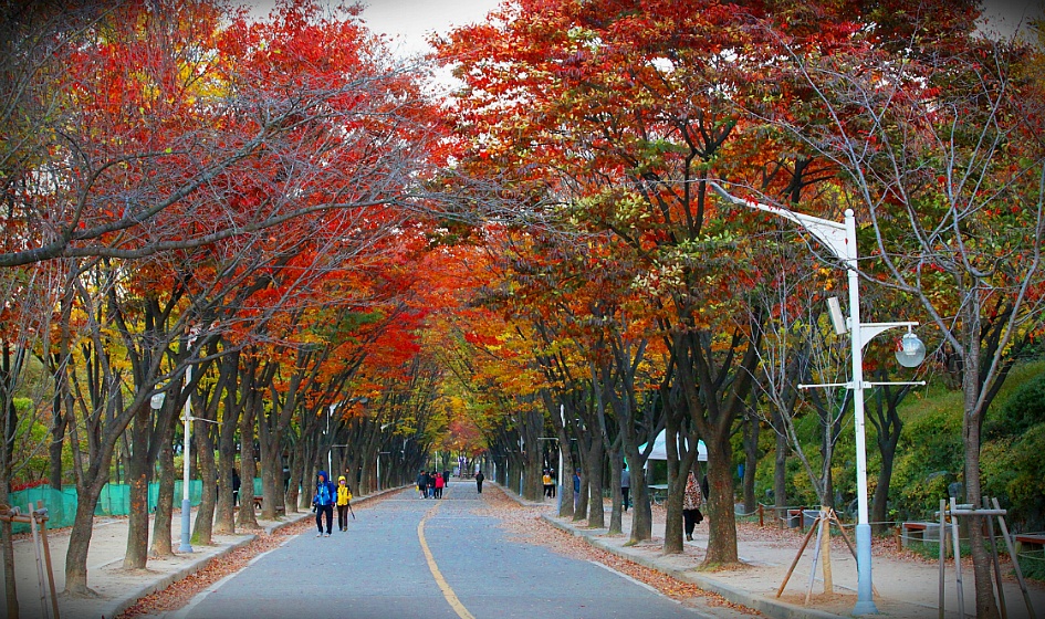 만추의 풍경