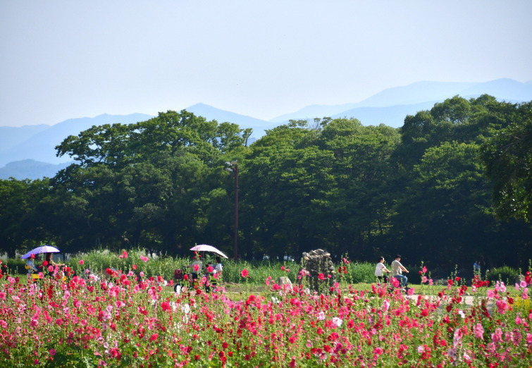 경주의 문화유산