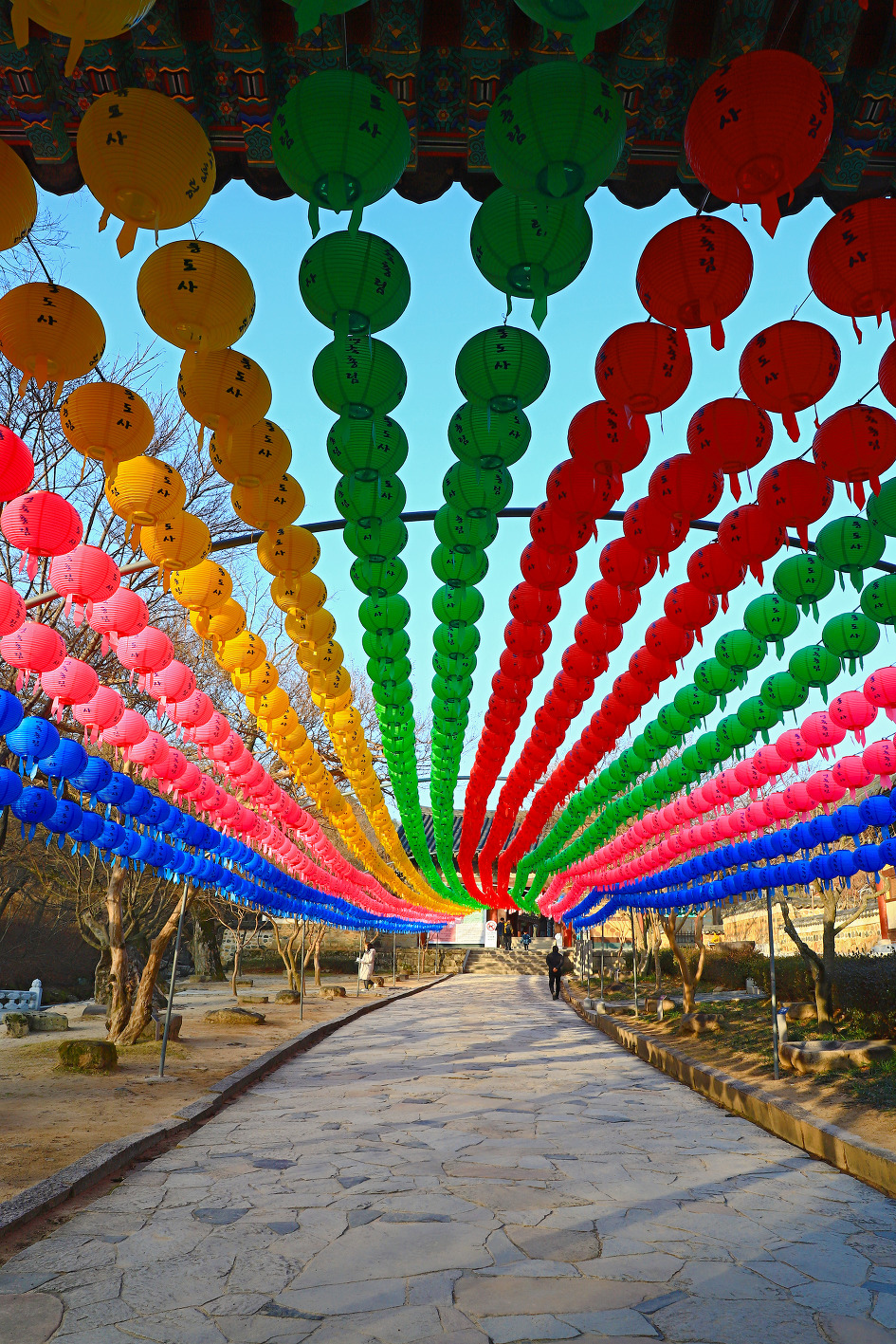 연등 (통도사. 2019.02.05.화)