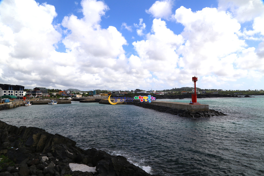화산섬 제주도 가볼만한곳 용암이 만들어낸 절경 월령리 섭지코지 조록코지 천연기념물 월령리선인장마을