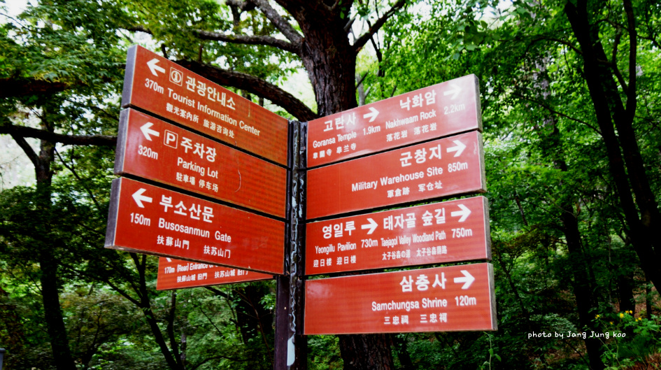 백화정 이미지