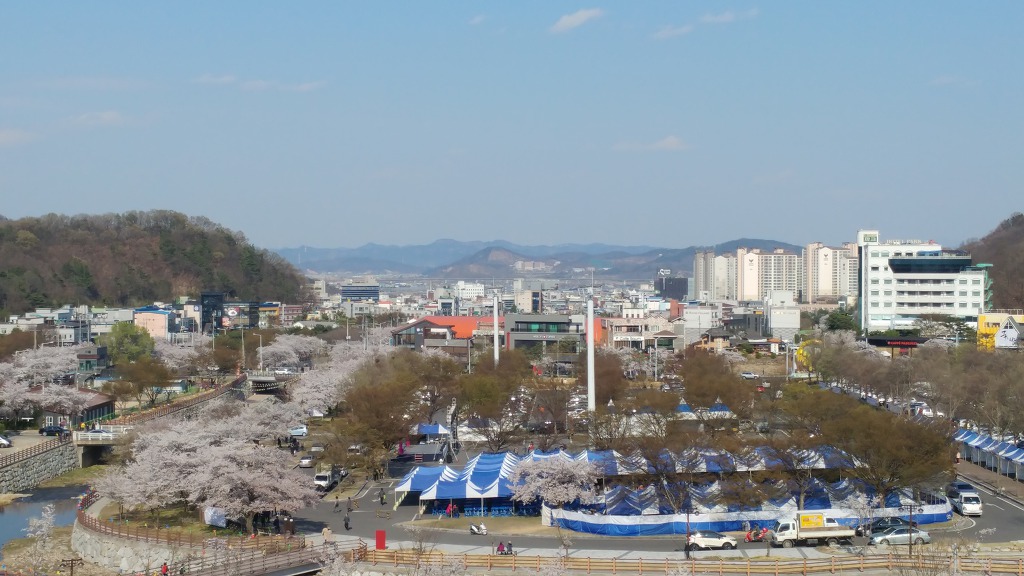 금오산 벚꽃축제