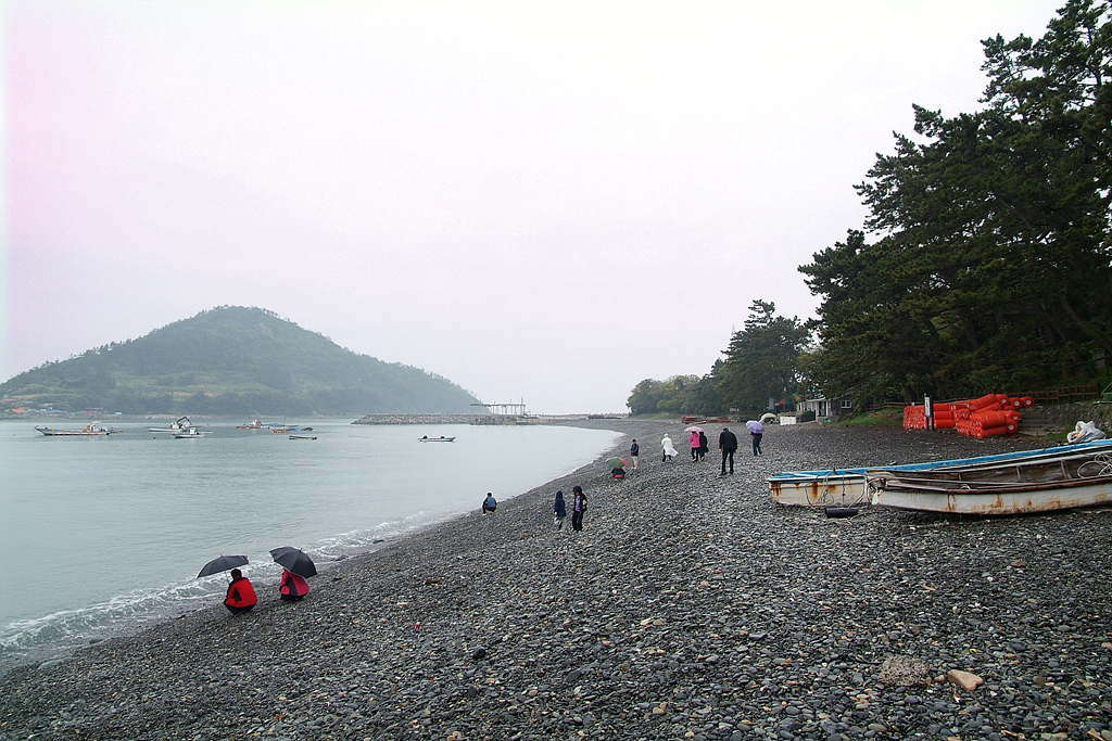 남도기행기 <청산도, 보길도편> - 여행-국내 갤러리